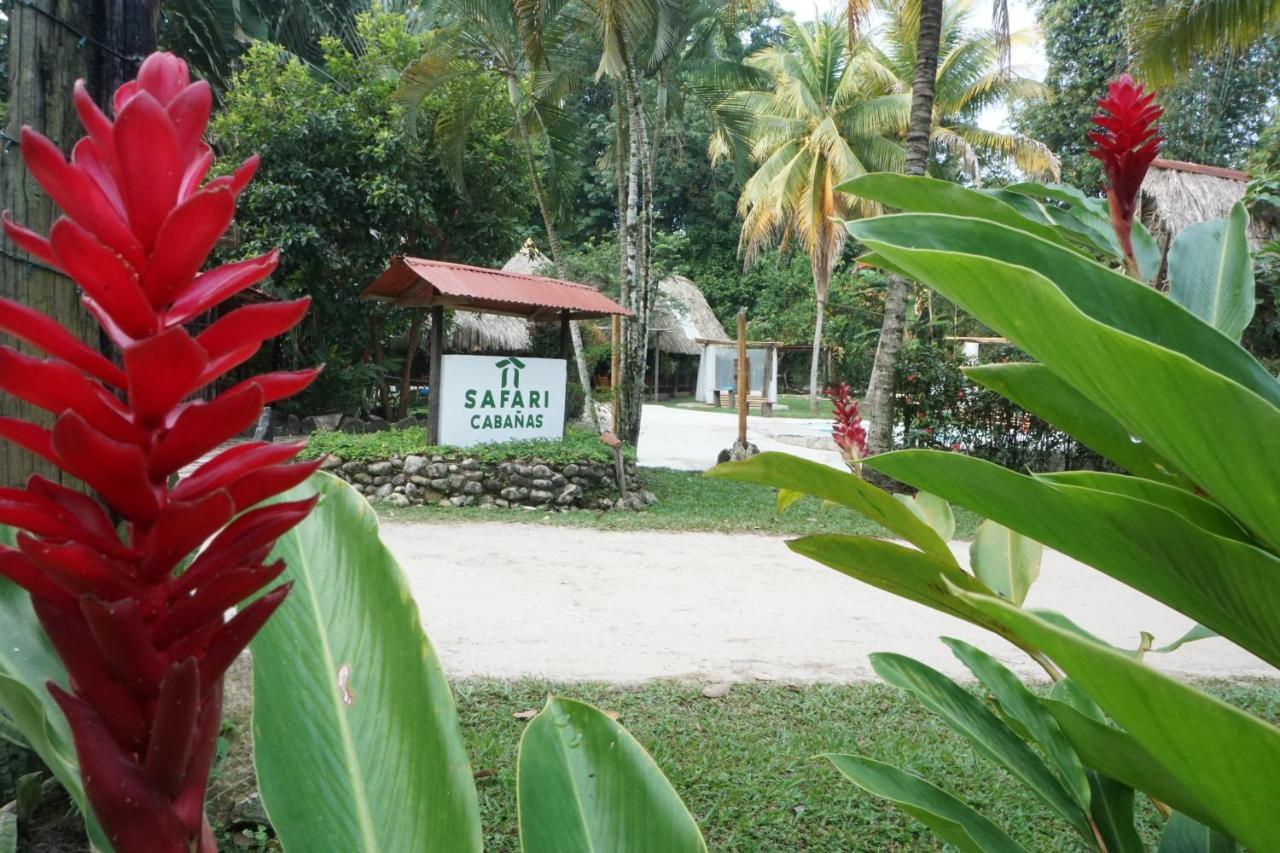 Hotel Cabanas Safari Palenque Exteriér fotografie