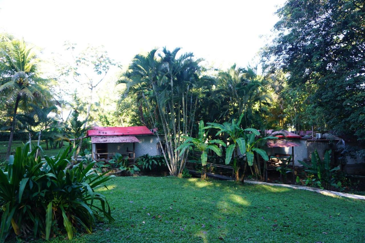 Hotel Cabanas Safari Palenque Exteriér fotografie